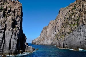 Fra Tropea: Bådtur til Panarea og Stromboli-øerne