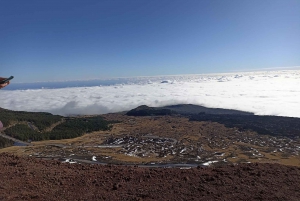 4x4 excursion on Mount Etna with lunch in a winery from Catania and Taormina