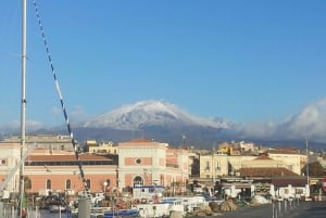 Heldagstur med kombinasjonen Etna og Taormina