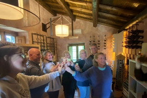 Full-Day Etna and Wine Tour from Catania