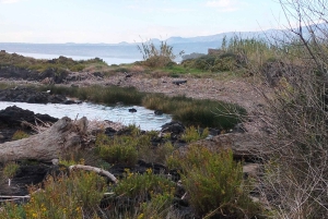 Giardini Naxos: Tour fra storia e leggende con guida esperta