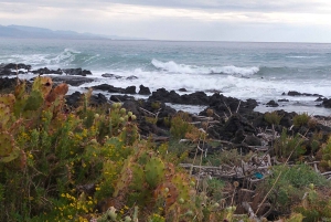Giardini Naxos: Tour fra storia e leggende con guida esperta