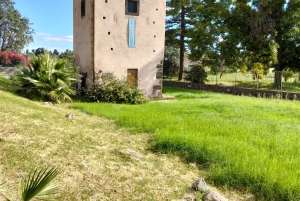 Giardini Naxos: Tour fra storia e leggende con guida esperta