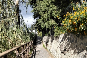 Giardini Naxos: Tour fra storia e leggende con guida esperta