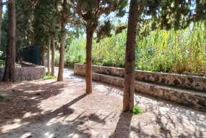 Giardini Naxos: Tour fra storia e leggende con guida esperta