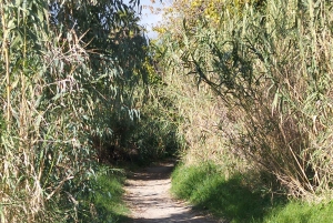 Giardini Naxos: Tour fra storia e leggende con guida esperta