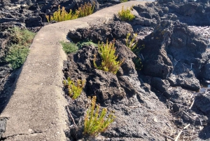 Giardini Naxos: Tour fra storia e leggende con guida esperta