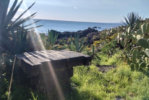 Giardini Naxos: Tour fra storia e leggende con guida esperta