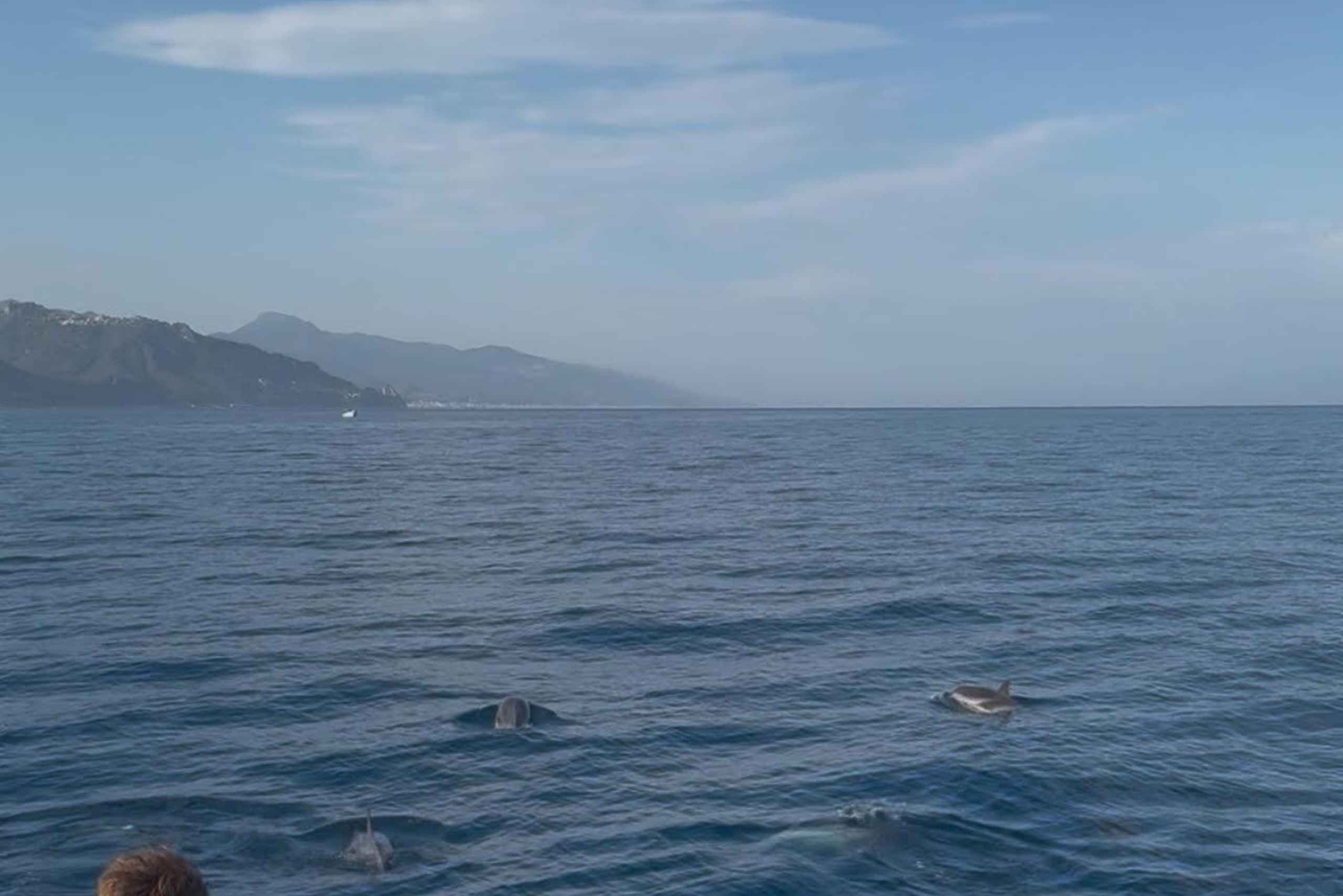Giardini Naxos: Dolphin Searching Sunset Boat Tour