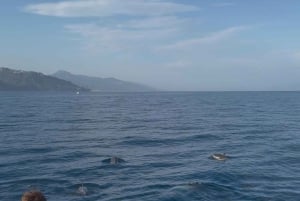 Giardini Naxos : excursion en bateau au coucher du soleil à la recherche des dauphins