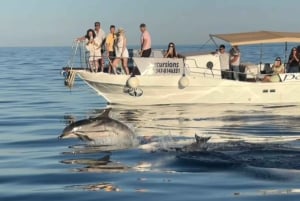 Giardini Naxos : excursion en bateau au coucher du soleil à la recherche des dauphins