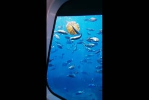 Giardini Naxos : Excursion en semi-sous-marin à Isola Bella