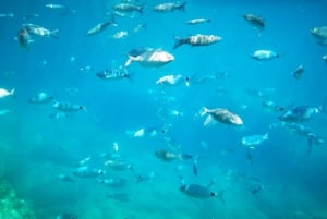 Giardini Naxos : Excursion en semi-sous-marin à Isola Bella