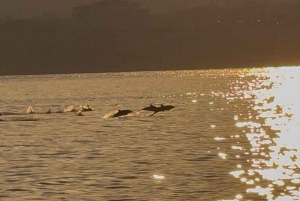Giardini-Naxos: Sunset boat with aperitif and Dolphins
