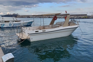 Giardini-Naxos: Sunset boat with aperitif and Dolphins