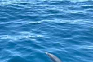 Giardini Naxos:Sunset with Dolphin sighting and Aperitif