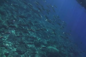 Boat excursion Giardini Naxos Taormina with swimming break