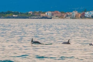 Giardini Naxos Taormina : Observation des dauphins au coucher du soleil
