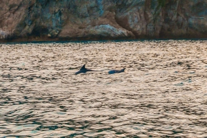 Giardini Naxos Taormina: Dolphin Watching Sunset Tour