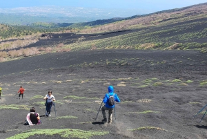 From Taormina: Guided Trip to Mt. Etna and Alcantara Gorges