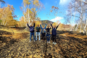 From Taormina: Guided Trip to Mt. Etna and Alcantara Gorges