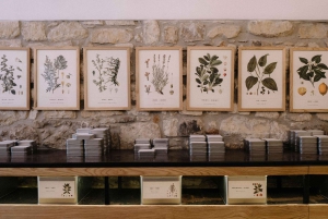 Begeleide proeverij van de 'Beste Chocolade van Modica'