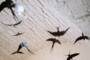 Begeleide proeverij van de 'Beste Chocolade van Modica'