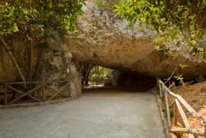 Tour guidato di Ortigia e del Parco Archeologico della Neapolis