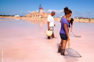 Tour guiado pelas Salinas de Marsala e colheita de sal