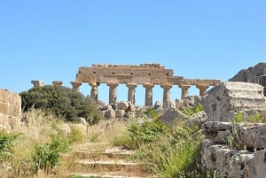 Visita guiada ao Parque Arqueológico de Selinunte