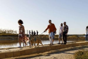 Visite guidée des salines de Trapani et du musée du sel.