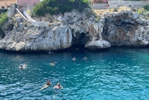 Halvdagsutflykt med båttur i Palermo