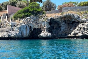 Halvdagsutflykt med båttur i Palermo