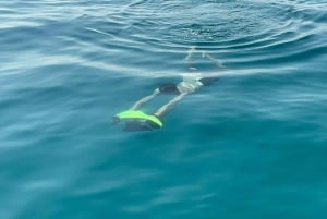 Halvdagsutflykt med båttur i Palermo