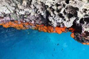 Croisière d'une demi-journée à Taormine avec plongée et apéritif