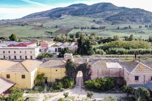 Historisk Baglio Florio Adamo-tur med vinprovning