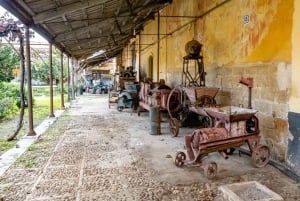 Historisk Baglio Florio Adamo-tur med vinprovning