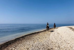 Ridning på Sciaccas strande