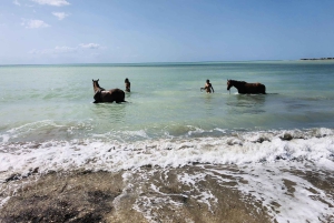 Horseback riding in the beaches of Sciacca