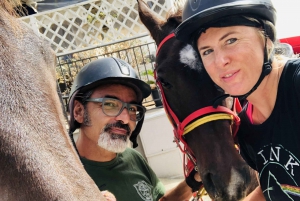 Horseback ride to Caltabellotta and brunch with a shepherd