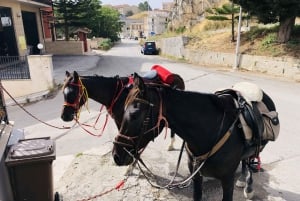 Horseback ride to Caltabellotta and brunch with a shepherd