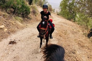 Horseback ride to Caltabellotta and brunch with a shepherd