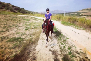 Horseback ride to Caltabellotta and brunch with a shepherd