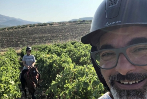 Horseback riding through the olive groves of Sciacca