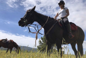 Horseback riding through the olive groves of Sciacca