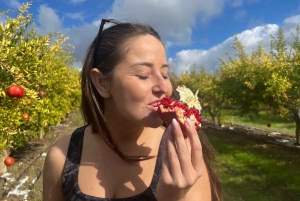 Gorące źródło i świątynia