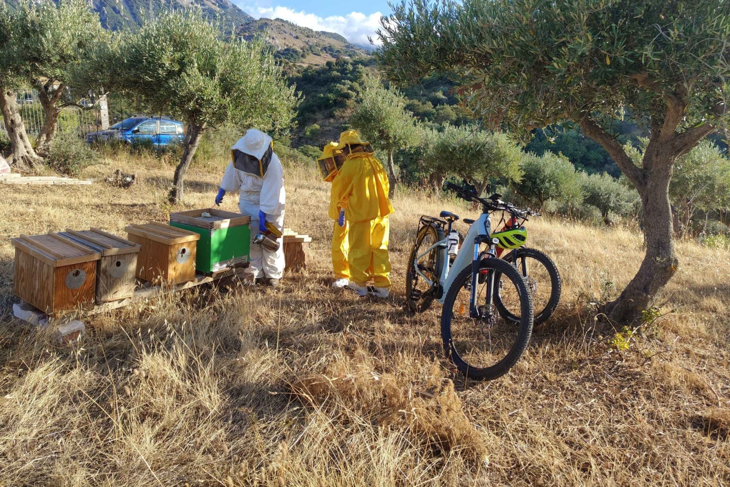 Isnesso : excursion à vélo dans les montagnes Madonie avec visite d'un rucher