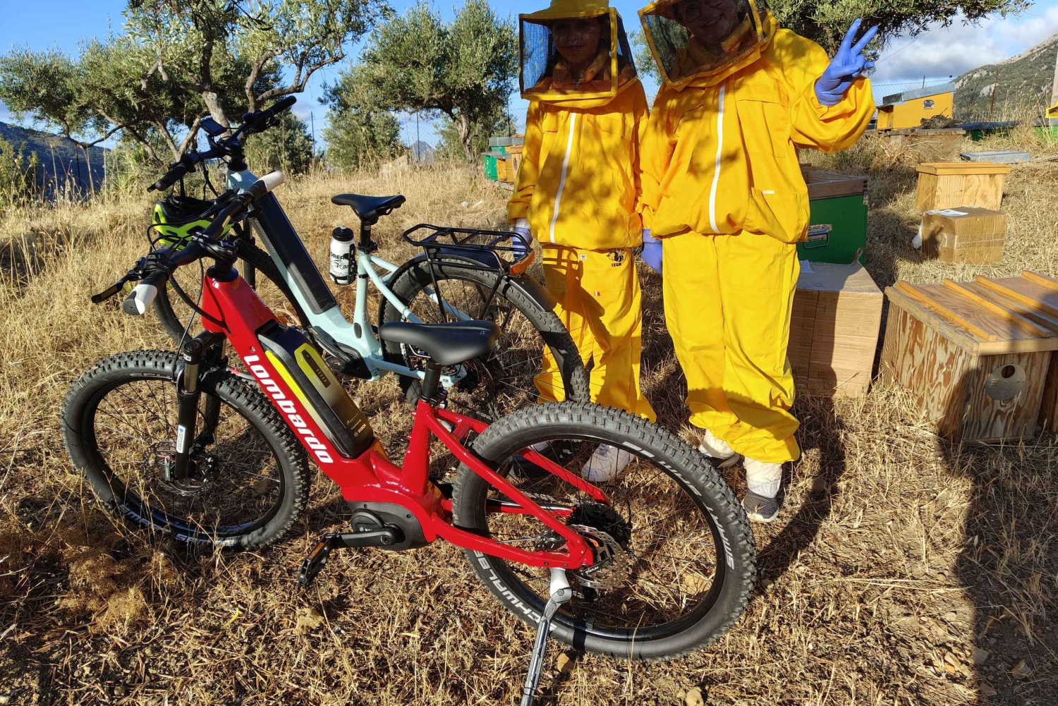 Isnesso : excursion à vélo dans les montagnes Madonie avec visite d'un rucher