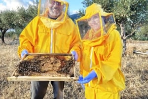 Isnesso : excursion à vélo dans les montagnes Madonie avec visite d'un rucher