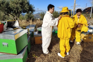 Isnesso : excursion à vélo dans les montagnes Madonie avec visite d'un rucher